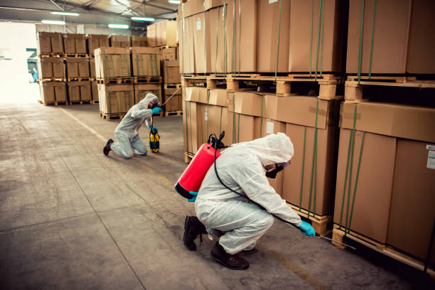 Trusted Union City, OH Pest Control Experts