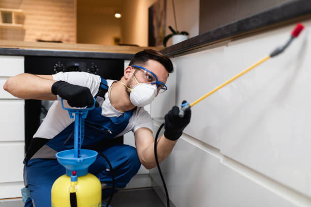 Best Termite Control Services  in Union City, OH