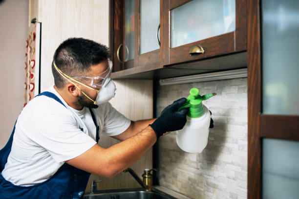 Best Bed Bug Extermination  in Union City, OH