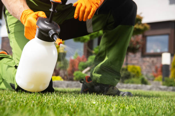 Best Pest Removal Services  in Union City, OH