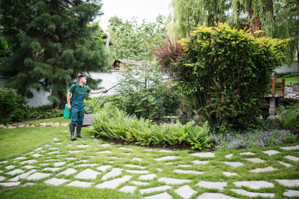 Best Pest Inspection Near Me  in Union City, OH