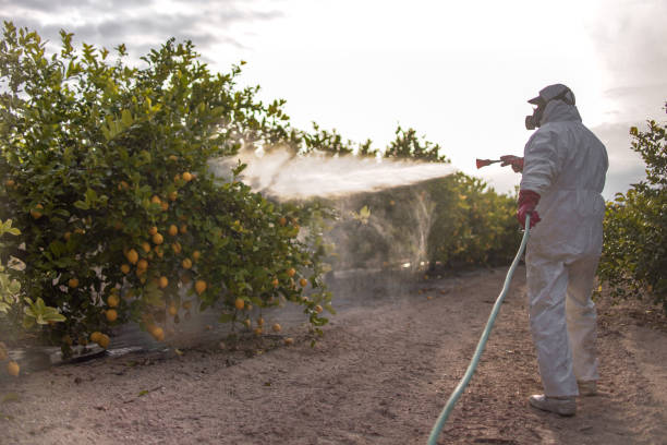 Best Local Pest Control Services  in Union City, OH