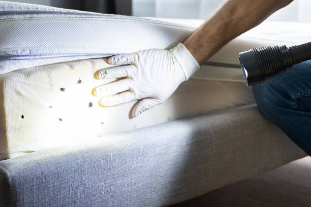 Best Affordable Pest Control Services  in Union City, OH