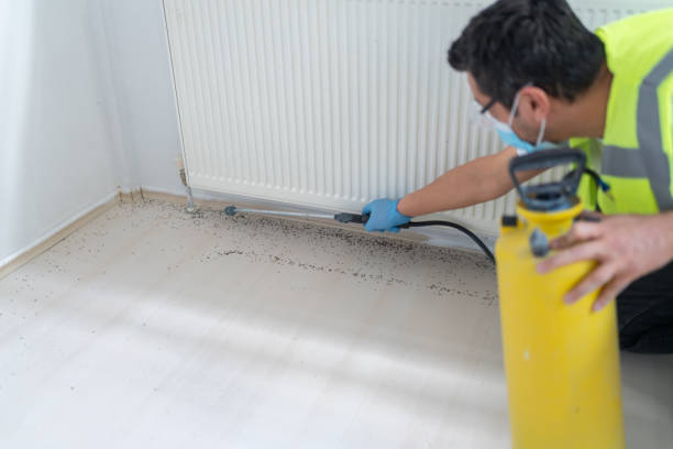 Reliable Union City, OH Pest Control Solutions